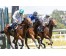  Carrera: P.Valderas Caballo: Octans Monta: V.Janacek